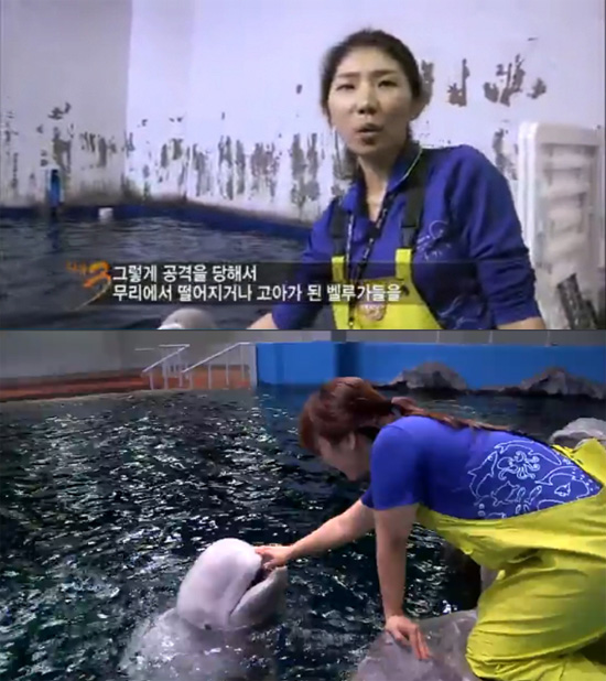 KBS 2TV