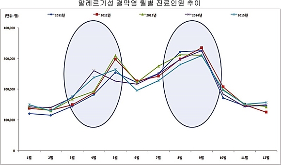 건강보험심사평가원 제공