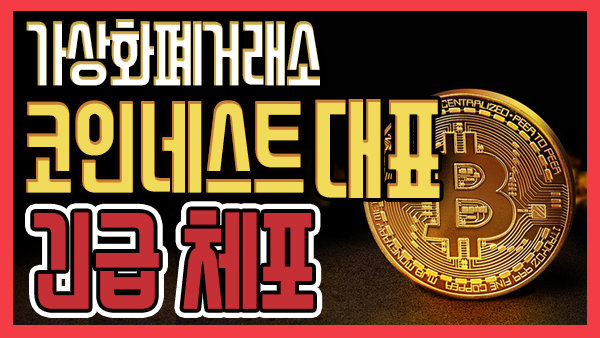 쿠키뉴스