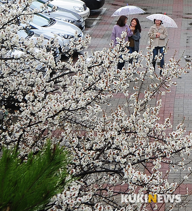 6일 대구·경북지역은 오후부터 비가 그칠 것으로 예상되는 가운데 찬바람이 불어 쌀쌀하겠다. 쿠키뉴스 DB.