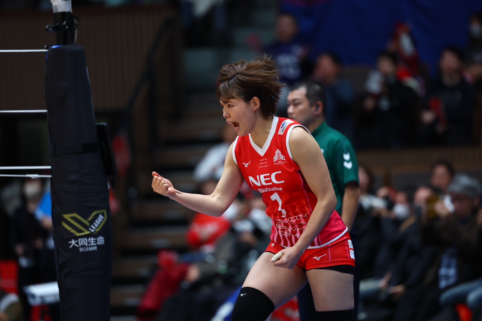 AI페퍼스, 아시아쿼터 선수 시마무라 하루요 교체 영입 [V리그]