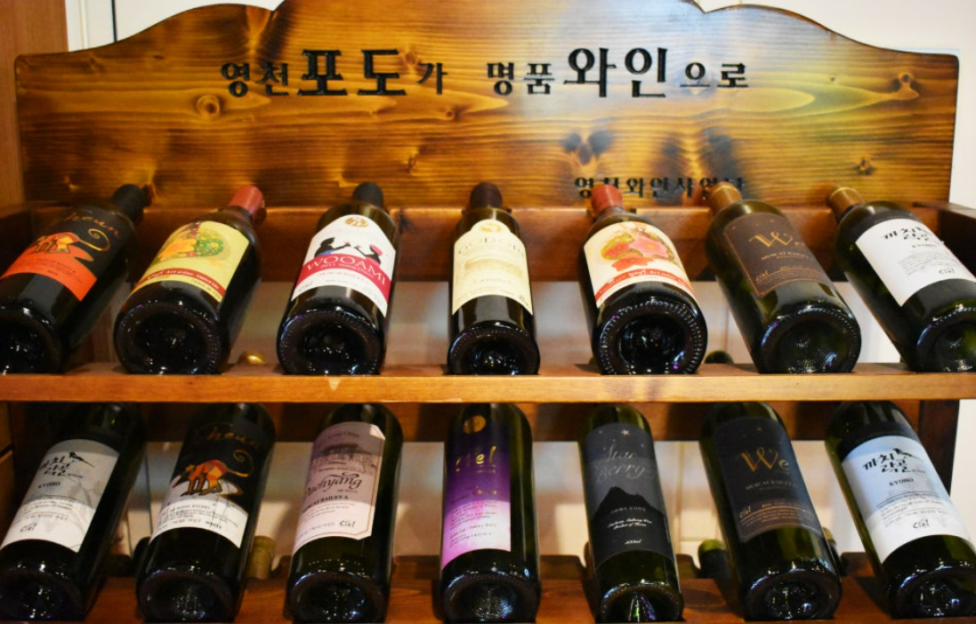 [단독] 여자리그 7년 만에 9개 구단 체제…‘영천 명품 와인’ 신생팀 합류 [바둑]