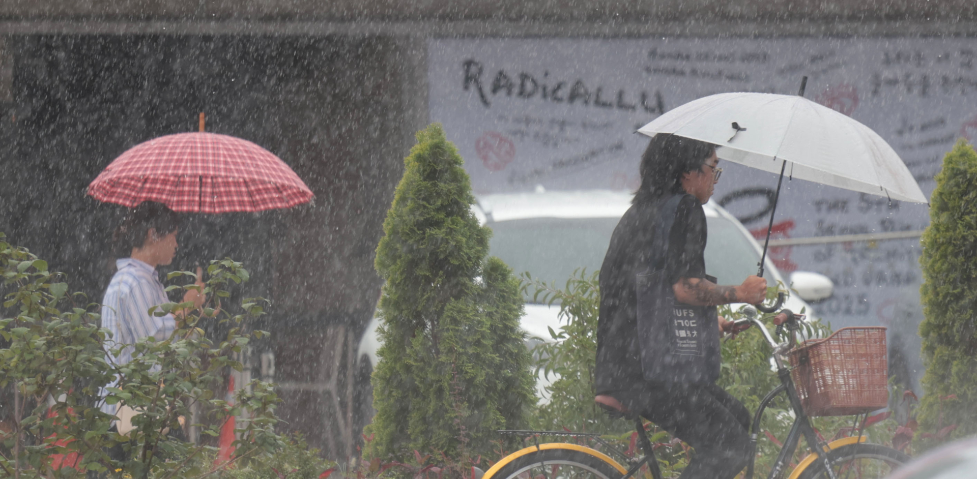 전국 흐리고 강한 비…수도권, 오전부터 차차 맑아져 [날씨]